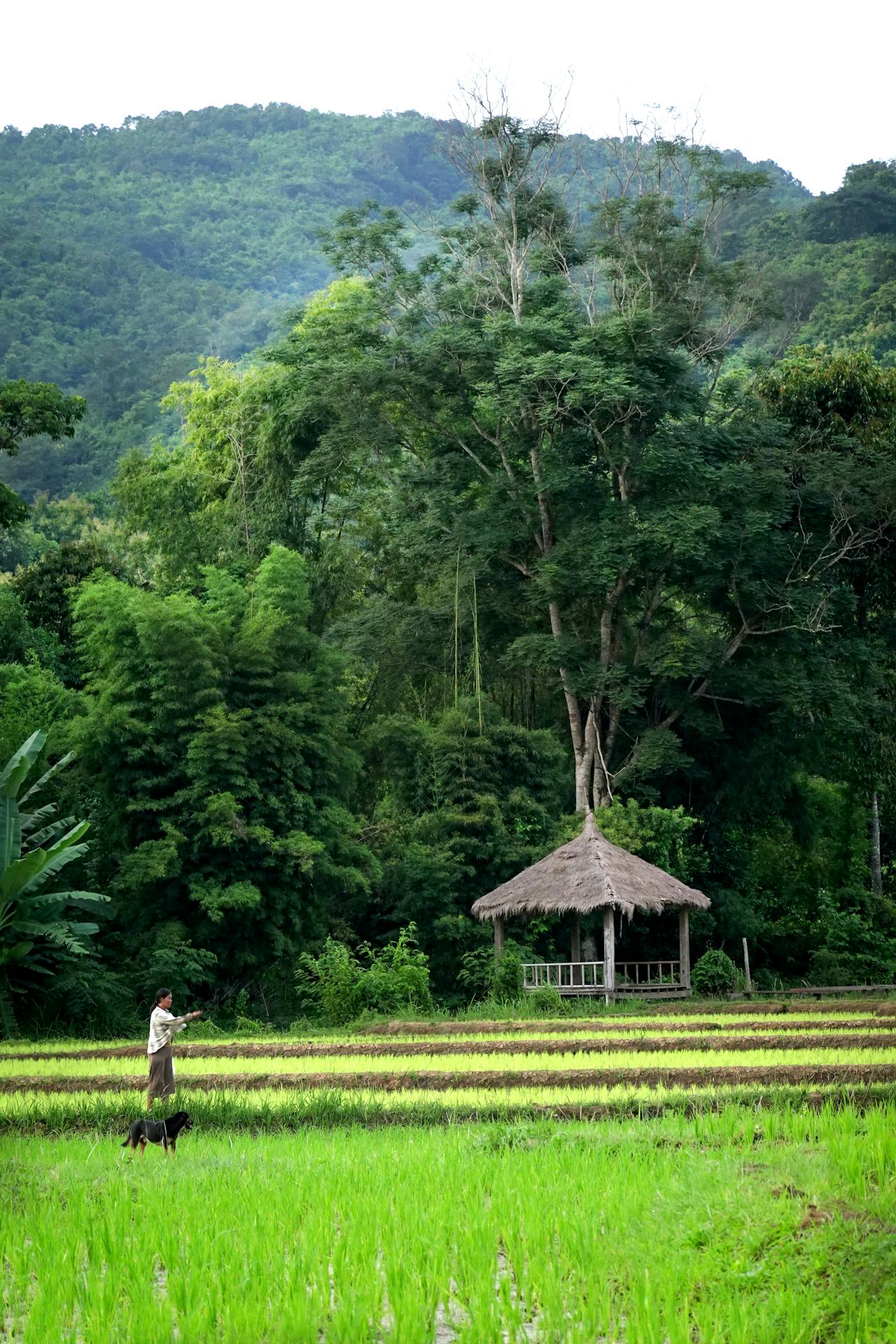 Start your journey with Luang Namtha’s vibrant glow